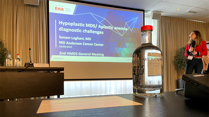 Dr Sanam Loghavi delivers a presentation at the i4MDS consortium's second general meeting.