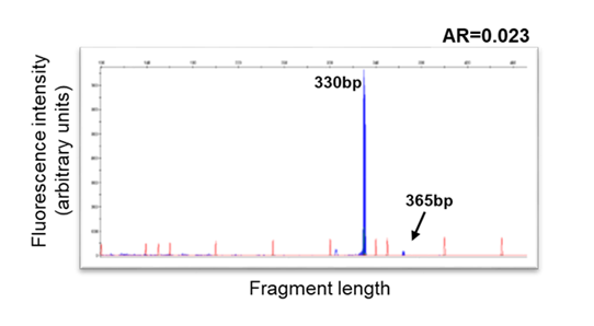 Graph showing sub-clonal FLT3-ITD at AML diagnosis.
